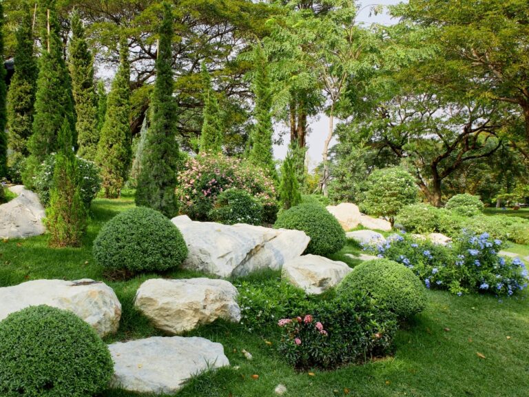 Hydroseeding Guide by All Green Hydroseed: Expectations & Steps